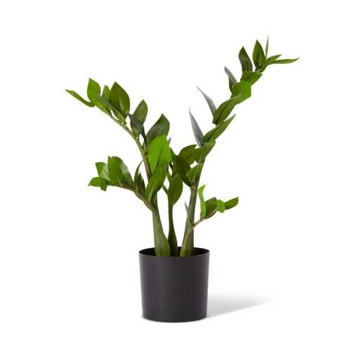 E Style 57cm Zanzibar Potted Artificial Plant Decor - Green