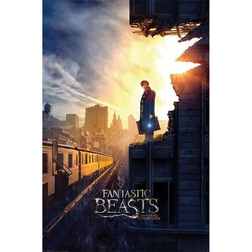 Wizarding World Fantastic Beasts Dusk Poster Wall Decor 91x61cm