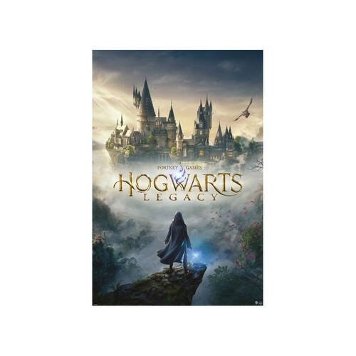 Wizarding World Harry Potter Hogwarts Legacy Poster Wall Decor 91x61cm