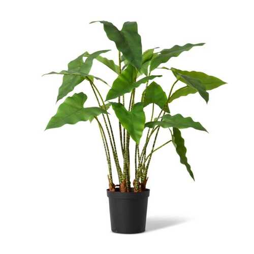 E Style 110cm Zebra Potted Artificial Plant Decor - Green