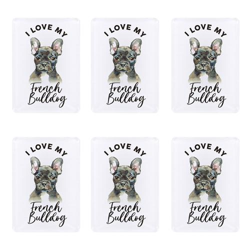 6PK Splosh Pet Lovers French Bulldog Acrylic Magnet Decor 7x5cm
