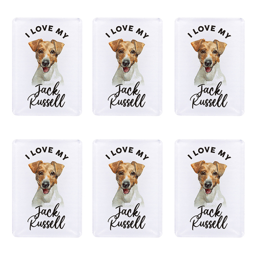 6PK Splosh Pet Lovers Jack Russell 7cm Acrylic Magnet Fridge Decor - White
