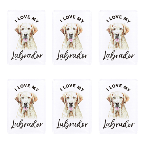 6PK Splosh Pet Lovers Labrador  7cm Acrylic Magnet Fridge Decor - White