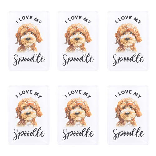 6PK Splosh Pet Lovers Spoodle 7cm Acrylic Magnet Fridge Decor - White