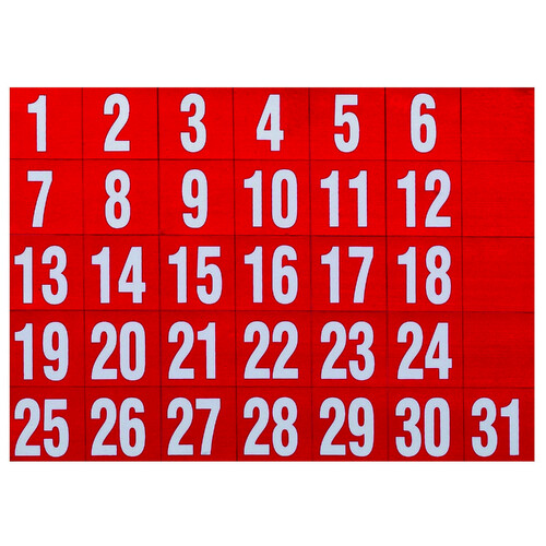 31PK Quartet Magnetic Dates Holder Set For Document/Photos - Red