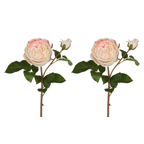 2PK Belle Cabbage Real Touch Rose Stem 50cm Artificial Flower - Soft Pink