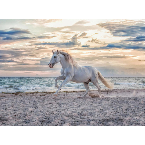 500pc Ravensburger Evening Gallop Jigsaw Puzzle Adults