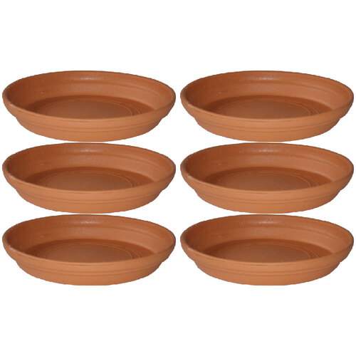 6PK Homeleisure Replicotta Round Saucer 195mm Garden 