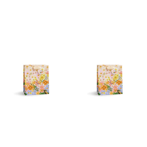 2PK Rifle Paper Co Birthday Party Gift Bag w/ Ribbon 20x24cm Medium Marguerite