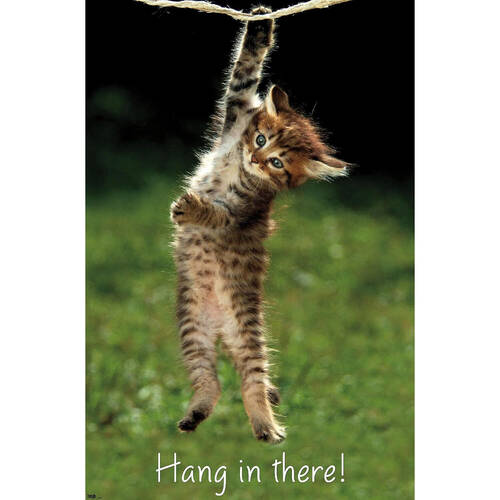 Impact Merch Kitten Hang in There Reg Poster 91x61cm
