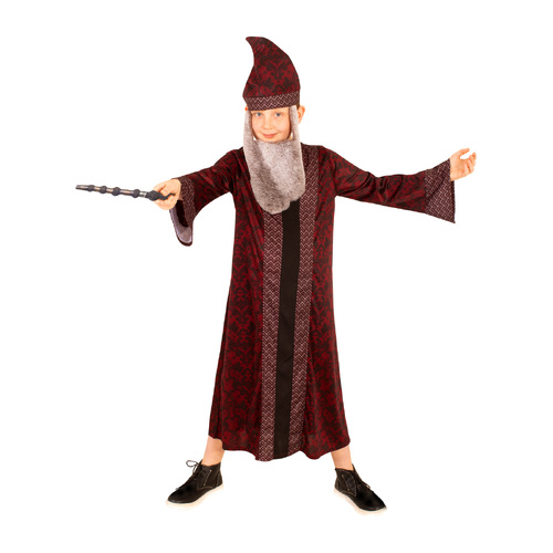 Harry Potter Dumbledore Childrens Wizard Robe Size 9+