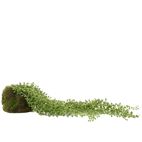 Belle Succulent Hanging Ball 50cm Green GREENERY - HANGING FOLIAGE