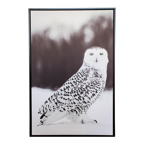 LVD Framed Canvas/Pine 80x120cm Snowy Owl 1 Wall Hanging Art