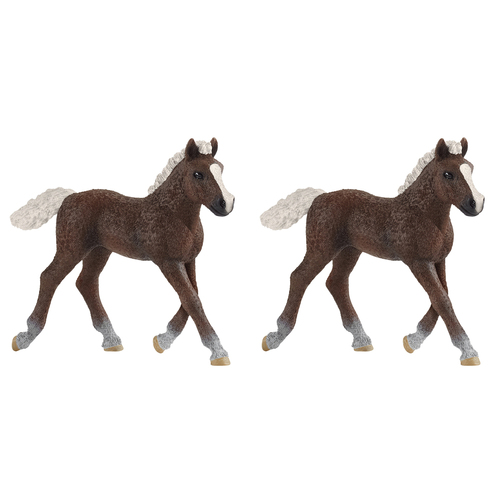 2PK Schleich 3.2'' Black Forest Foal Animal Action Figure Kids Toy 3-8y