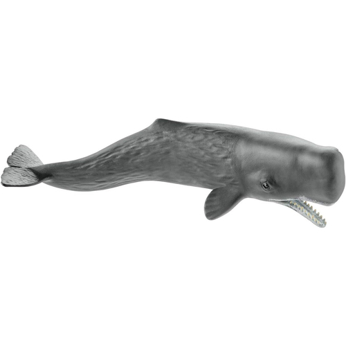 Schleich Sperm Whale Animal Action Figure Kids Toy 3+