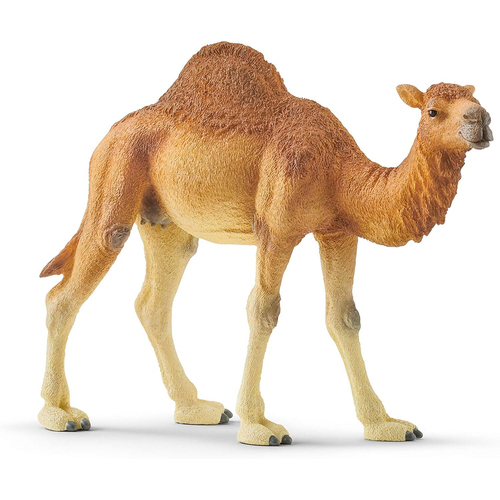 Schleich 5.5'' Dromedary Animal Action Figure Kids Toy 3-8y