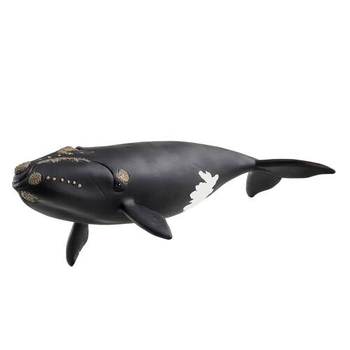 Schleich North Atlantic Right Whale Kids Action Figure 19.5cm Toy 3y+