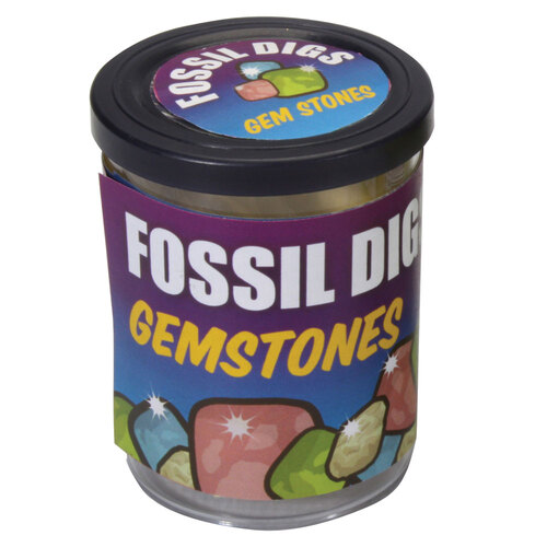 Discovery Fossil Dig in Tub 10cm - Assorted