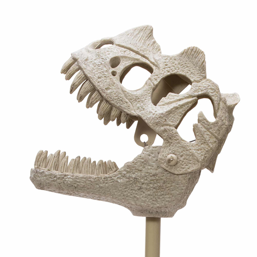 Schylling Dinosaur Fossil Chomper Play Kids/Children Toy 45cm 3y+