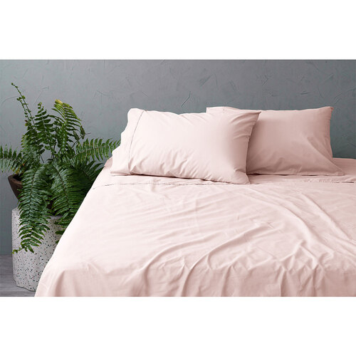 Tontine 250TC Cotton Fitted Sheet Set - Single Bed Soft Rose