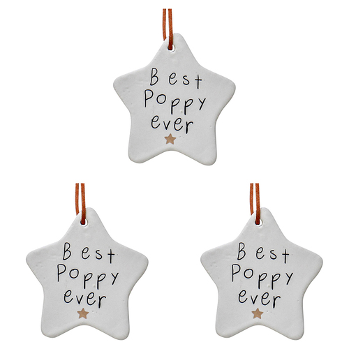 3PK LVD Ceramic Hanging 8.5x9cm Star Best Poppy w/ Ribbon Ornament Decor