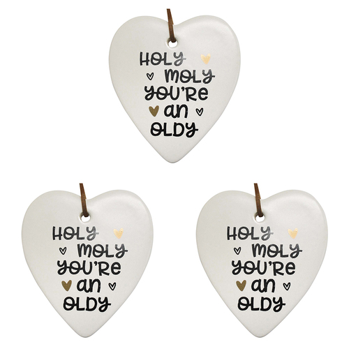 3PK LVD Ceramic Hanging 8x9cm Heart Holy Moly w/ Hanger Ornament Decor