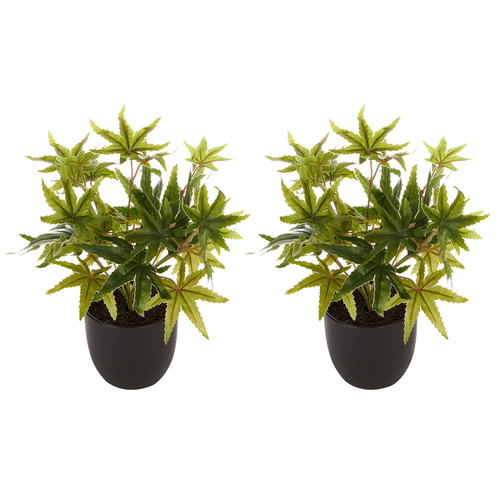 2PK Cooper & Co. Tall Potted Artificial Maple Decor Fake Plant Indoor 24cm