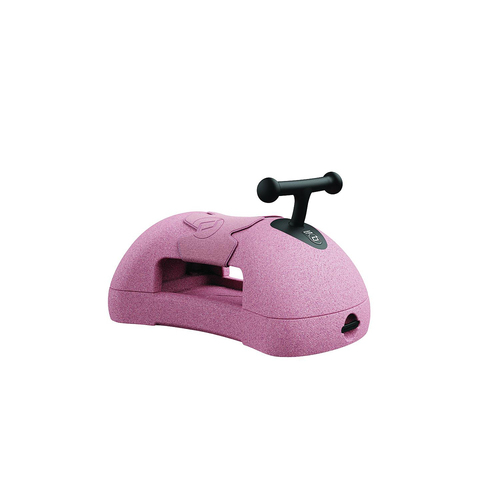 Scoot & Ride My First Rose Scooter Kids/Childrens Interactive Toy 6+