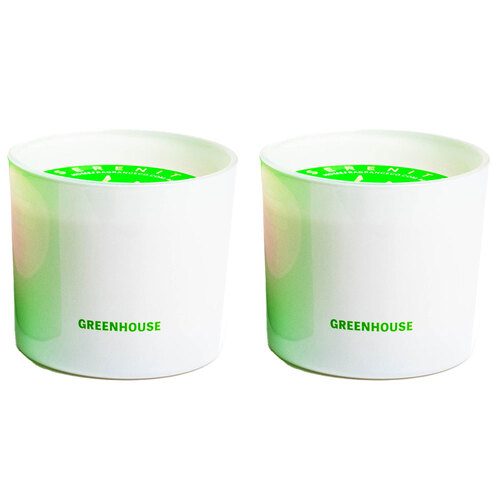 2PK Serenity Hidden Message Main Character Energy Candle - Greenhouse 250g