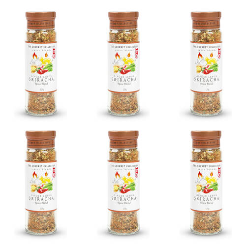 6PK Hot Shots The Gourmet Collection Spice Blend Ginger Lemon Sriracha 125g