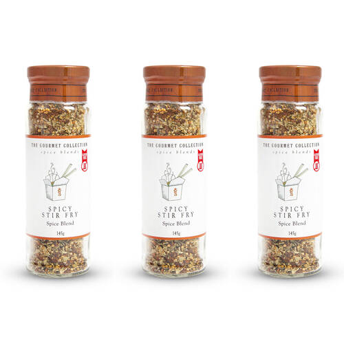 3PK Hot Shots The Gourmet Collection Spice Blend Spicy Stir Fry 145g Seasoning