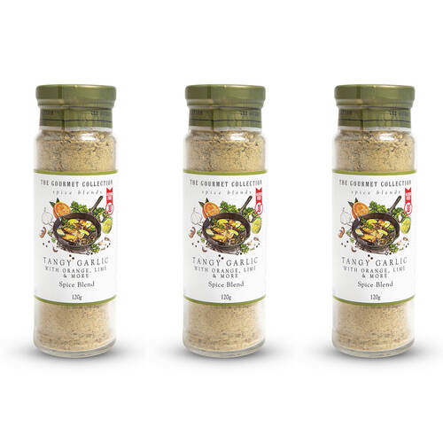 3PK Hot Shots The Gourmet Collection Spice Blend Tangy Garlic 120g Seasoning