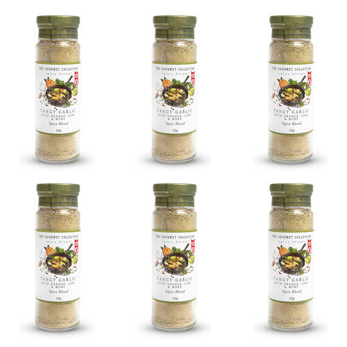6PK Hot Shots The Gourmet Collection Spice Blend Tangy Garlic 120g Seasoning