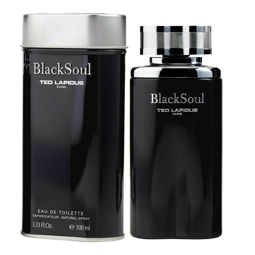Ted Lapidus Black Soul 100ml EDT - Men