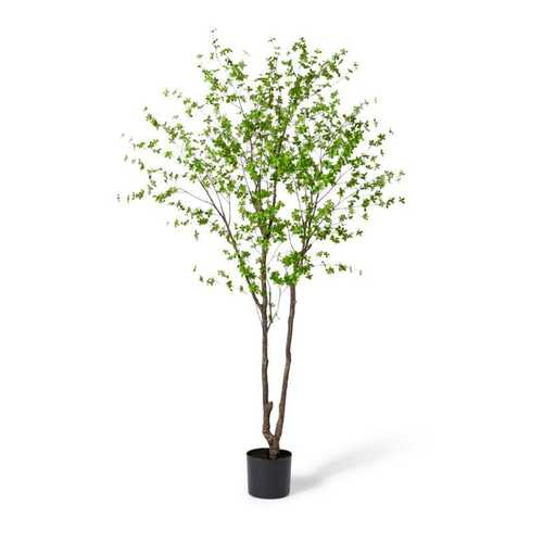 E Style 300cm Pieris Tree Artificial Plant Decor - Dark Green