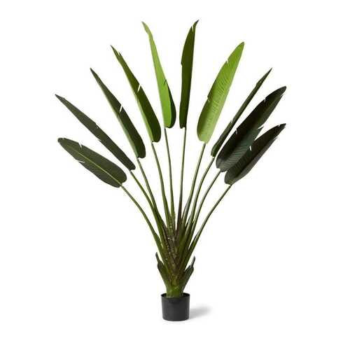 E Style 220cm Palm Travellers Artificial Potted Plant - Green