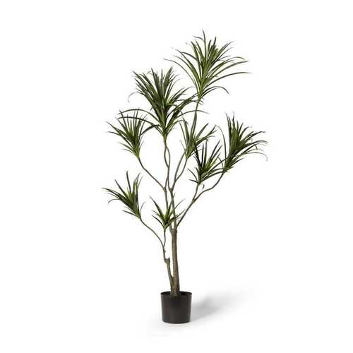 E Style 180cm Dragon Tree Artificial Plant Decor - Green