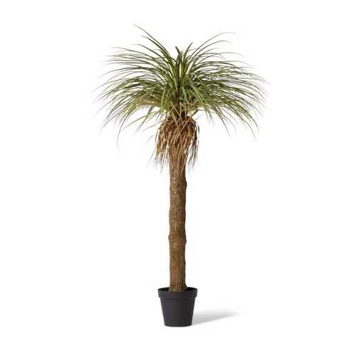 E Style 183cm Yucca Grass Tree Artificial Plant Decor - Green