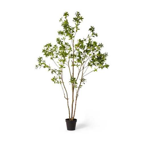 E Style 240cm Pieris Japonica Tree Artificial Plant Decor - Green