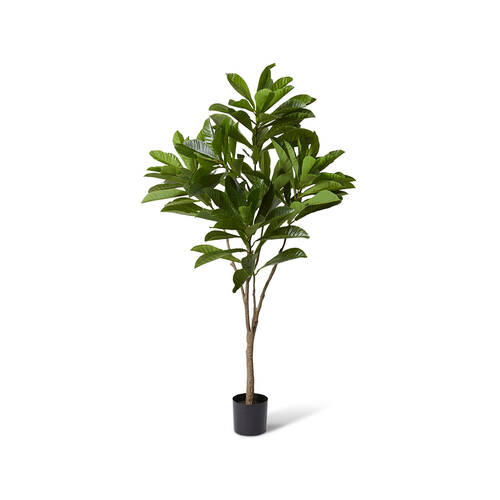 E Style Palm Tree Home Garden Outdoor Decor 98x180cm - Green