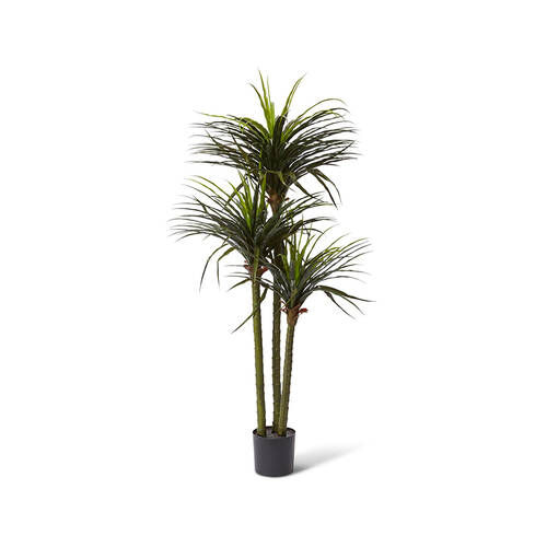 E Style Dracaena Grass Tree Garden Decor 90x163cm - Green
