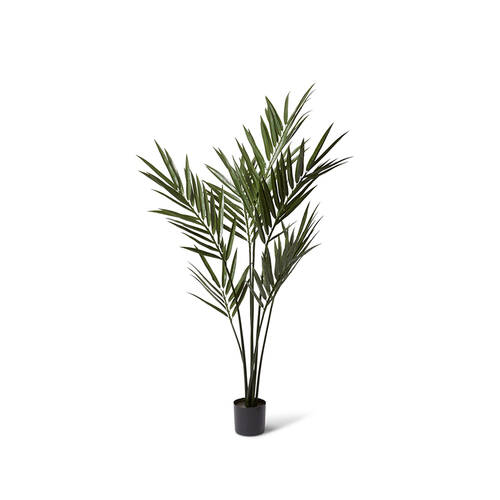 E Style Palm Kentia Tree Garden Decor 80x183cm - Green