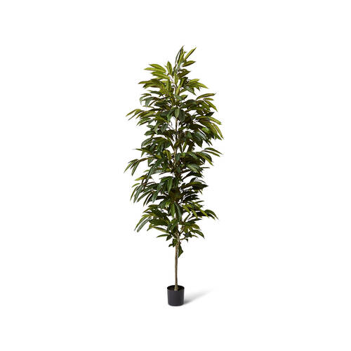 E Style Ficus Alii Tree Home Garden Outdoor Decor 85x210cm - Green