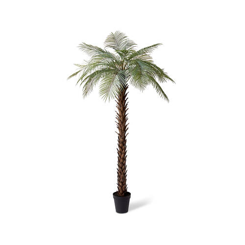 E Style Cycas Palm Tree Garden Decor 120x260cm - Green