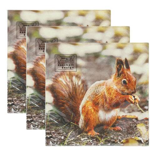 3x 20pc Esschert Design Paper Napkins Robin/Squirrel 3-Ply Large 33cm