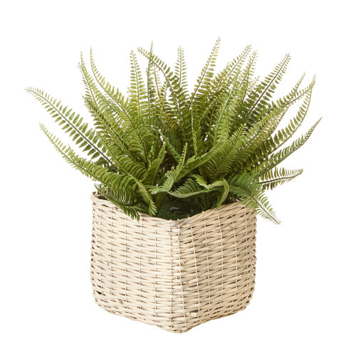 Cooper & Co. Artificial Fern In Basket Green 47cm