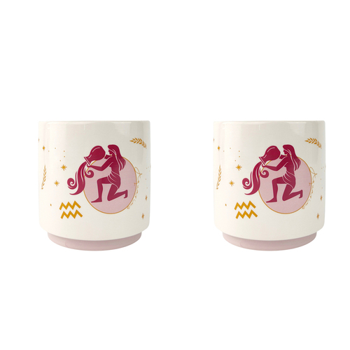 2x Urban Aquarius Zodiac 13cm Ceramic Planter Pot Small - Purple