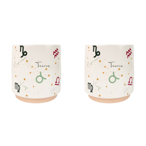 2x Urban Zodiac 13cm Ceramic Planter Colourful Flower Pot - Small