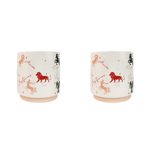 2x Urban Zodiac 16cm Ceramic Planter Colourful Flower Pot - Medium