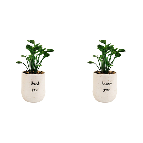 2x Urban Positivity Quote 9cm Thank You Potted Plant Artificial Home Decor